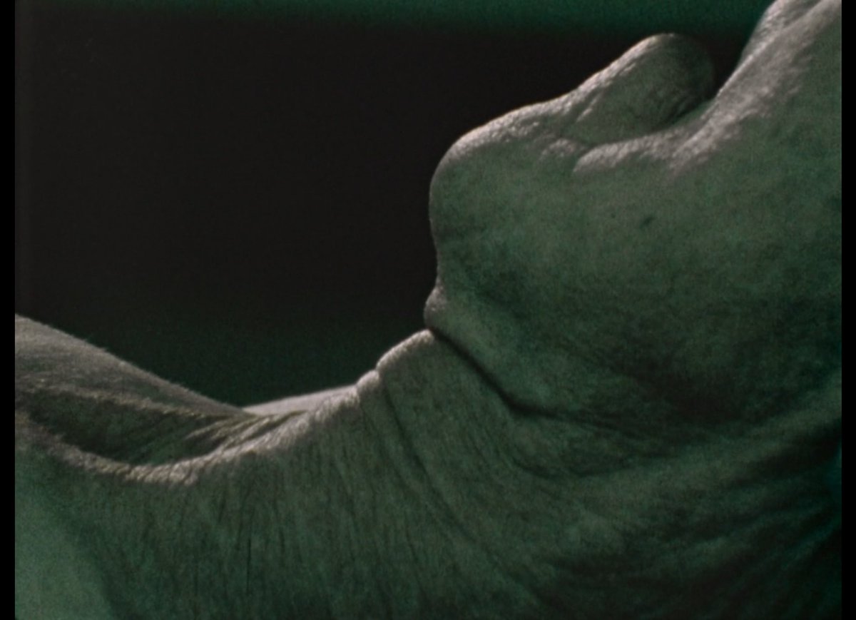 The Act of Seeing With One’s Own Eyes (Stan Brakhage, 1972)