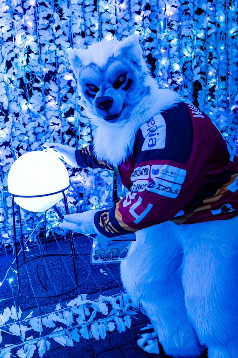 青い光持って帰りたいな…？？

📸: <a href="/furrizu/">泉本 和哉</a> 
#kemocon18
#FursuitFriday