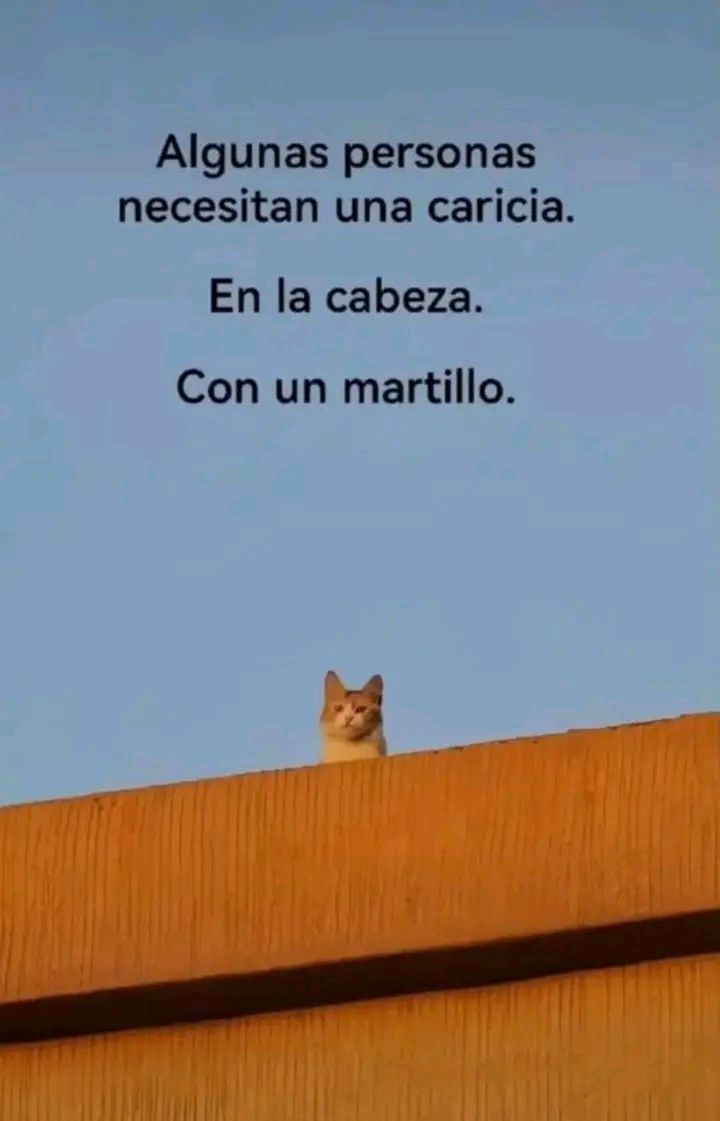 Berilyn_02's tweet image. 