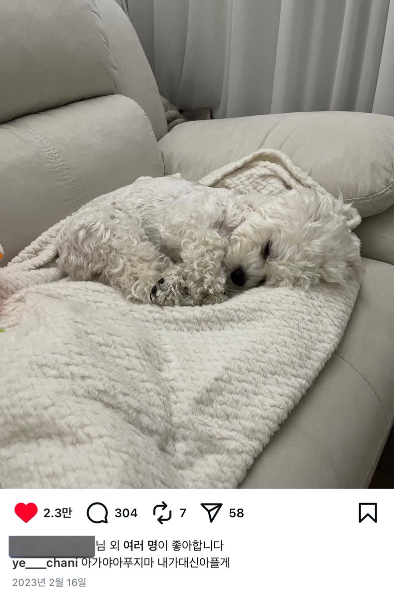 3l6745's tweet photo. “ 아가야아푸지마 내가대신아플게 ”

입덕하고 예찬이 인스타 쭉 보는데 이 글 보는 순간 눈물이 나왔다는 . . ㅠ 설이랑 아빠 오래오래 행복하게 살았음 좋겠다 🥹♡ https://t.co/XaEEWoIfLK
