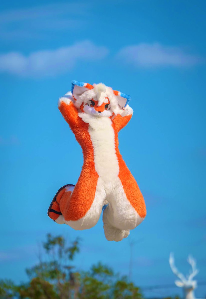 狼雅 (@concerto_wolf9) / Posts / X