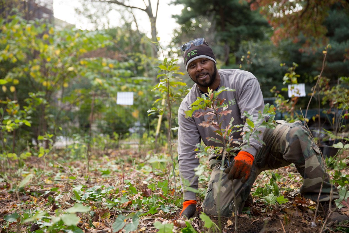 Looking for a holiday gift that keeps on growing? Give the gift of green! Adopt a woodland sapling in honor of the nature lover in your life and support Brooklyn’s last remaining upland forest for generations to come. Adopt a sapling: prospectpark.org/commemorative