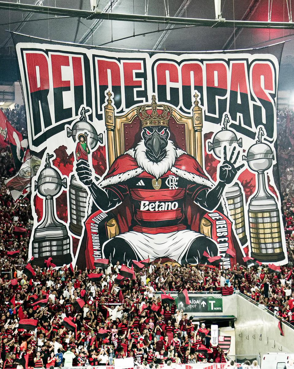 Quem é o verdadeiro REI DE COPAS?

🇦🇴 Flamengo:

🏆🏆🏆🏆🏆 Copa do Brasil 
🏆🏆🏆🏆 Libertadores 
🏆🏆🏆 Supercopa do Brasil 
🏆 Copa Mercosul
🏆 Mundial 
🏆 Recopa
🏆 Copa Ouro 
🏆 Copa dos Campeões 

🦊 Cruzeiro:

🏆🏆🏆🏆🏆🏆 Copa do Brasil 
🏆🏆 Libertadores 
🏆🏆 Supercopa