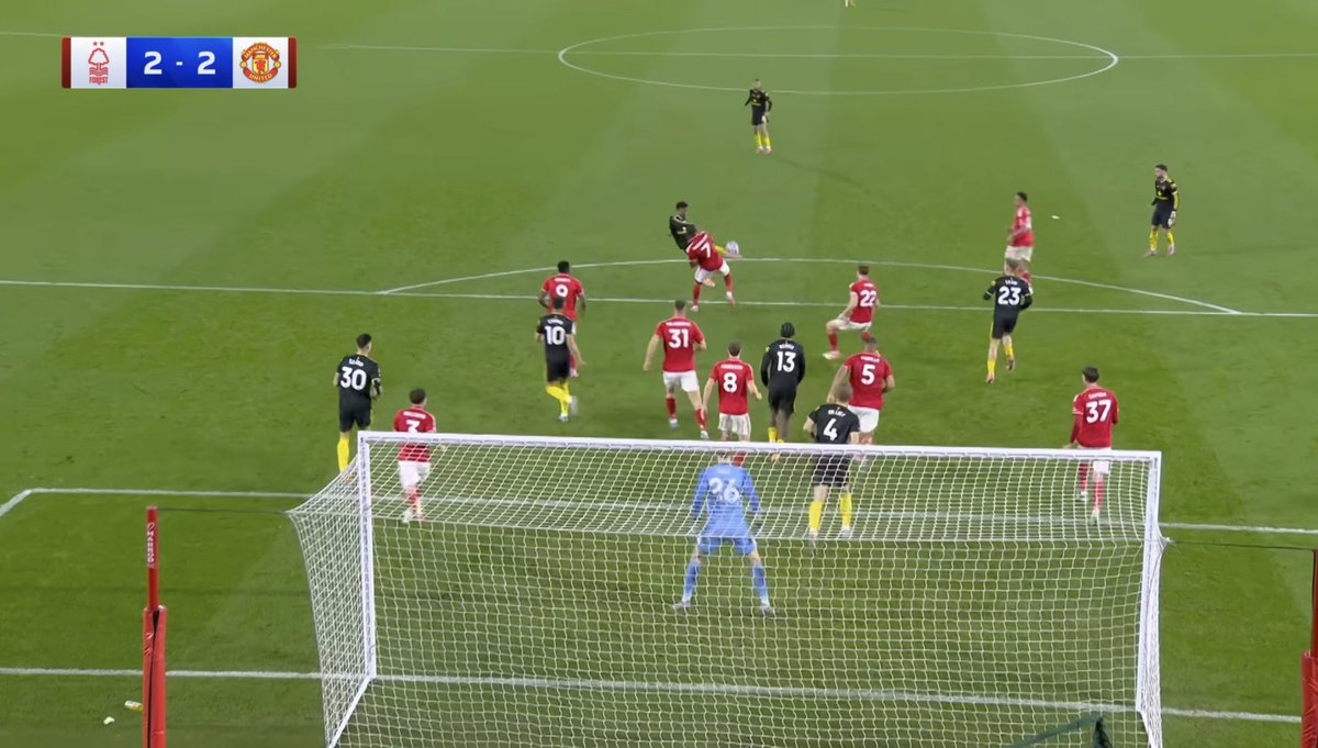 Forest Review tweet media