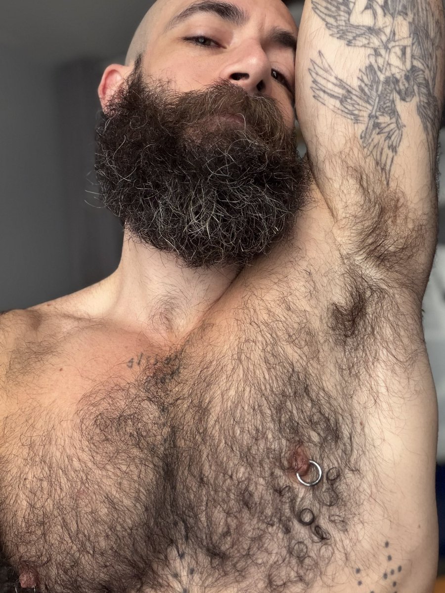 Stephen Harte tweet media