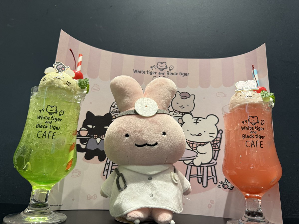 りょう 🐰🩺🍢🍶🛁