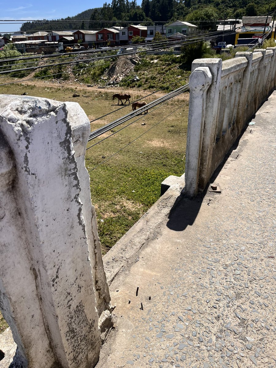 vicho_lara's tweet photo. Que triste (y peligroso) el estado del Puente Andalién Viejo, patrimonio de la ciudad con sus más de 90 años de historia. Roza el abandono. https://t.co/CeEXTZe4c0