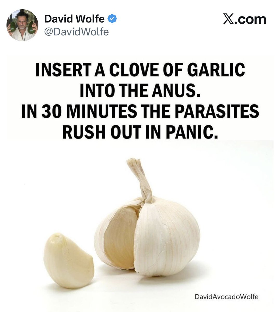 jonathanstea's tweet photo. Garlic is for your gut, not your butt. https://t.co/L1j5OwLE1I