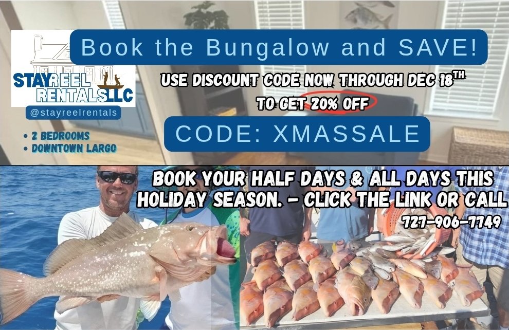 ReelDealPotter's tweet photo. Check out our new email blast ➡️ Winter fishing update and Holiday Deals on future bookings at The Bungalow! 🎣

https://t.co/3xQqBZ26Rb https://t.co/lZdUnPwO6I