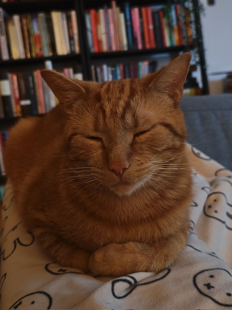 Sleepy (@SleepyyyyYo) / Posts / X