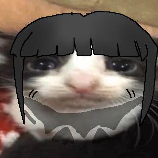 torakubi tweet media