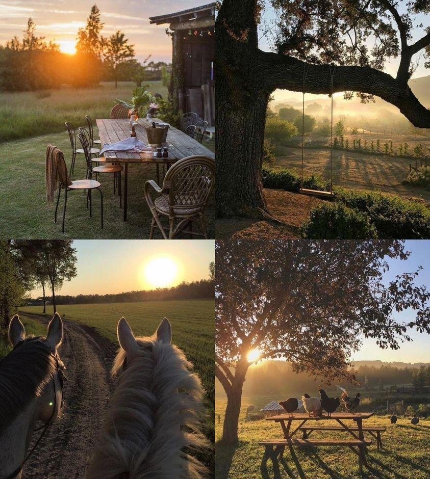 bir hayatın asûdeliğine talibim.