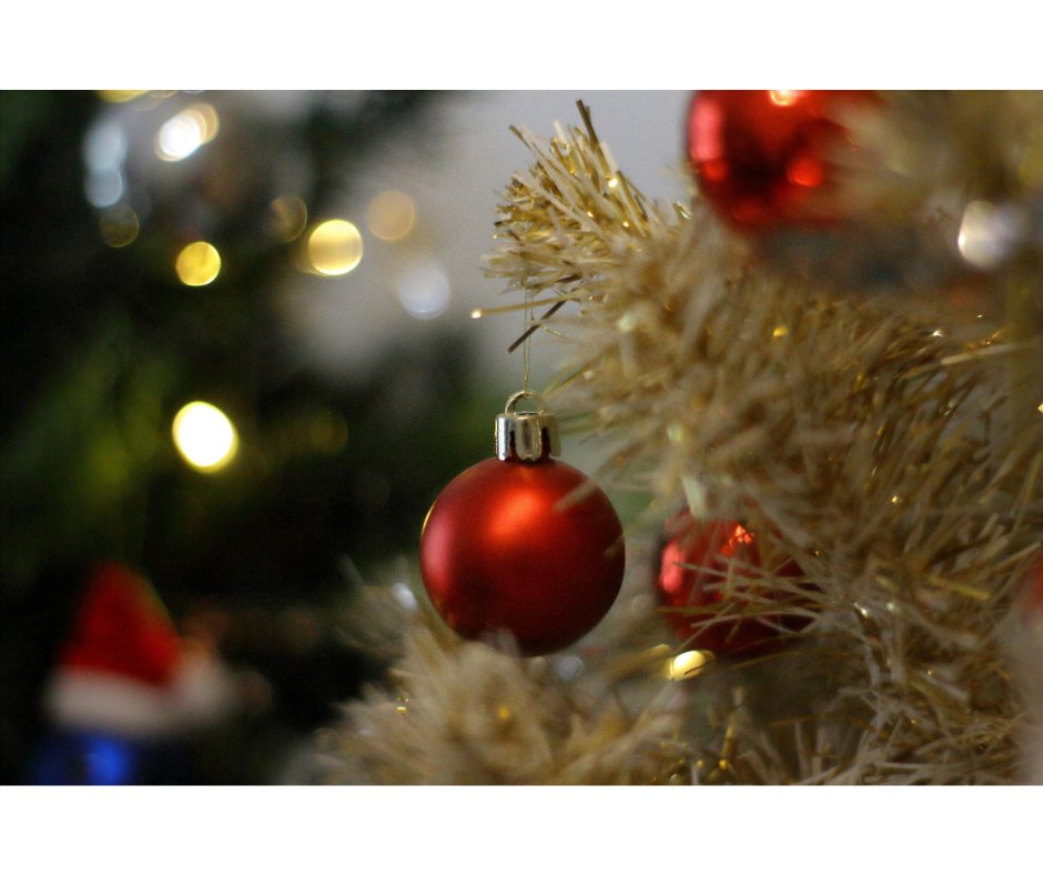 OldManseInn's tweet photo. https://t.co/CzVK2Q5fQg Our December newsletter is here! 🎄✨
Discover the perfect Cape Cod gift, can’t-miss holiday events, exciting 2026 renovations, and why booking early matters—especially with America’s 250th birthday on the way!
Check it out! https://t.co/SLpgT2n9ik