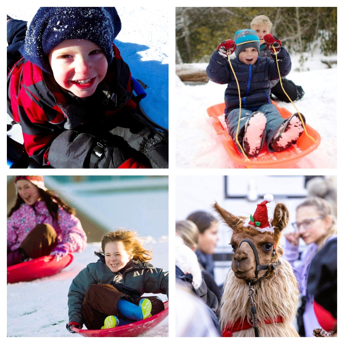 RealtorStieg's tweet image. Far more than the start of Festivus - mailchi.mp/ee86a9b2cc41/6…