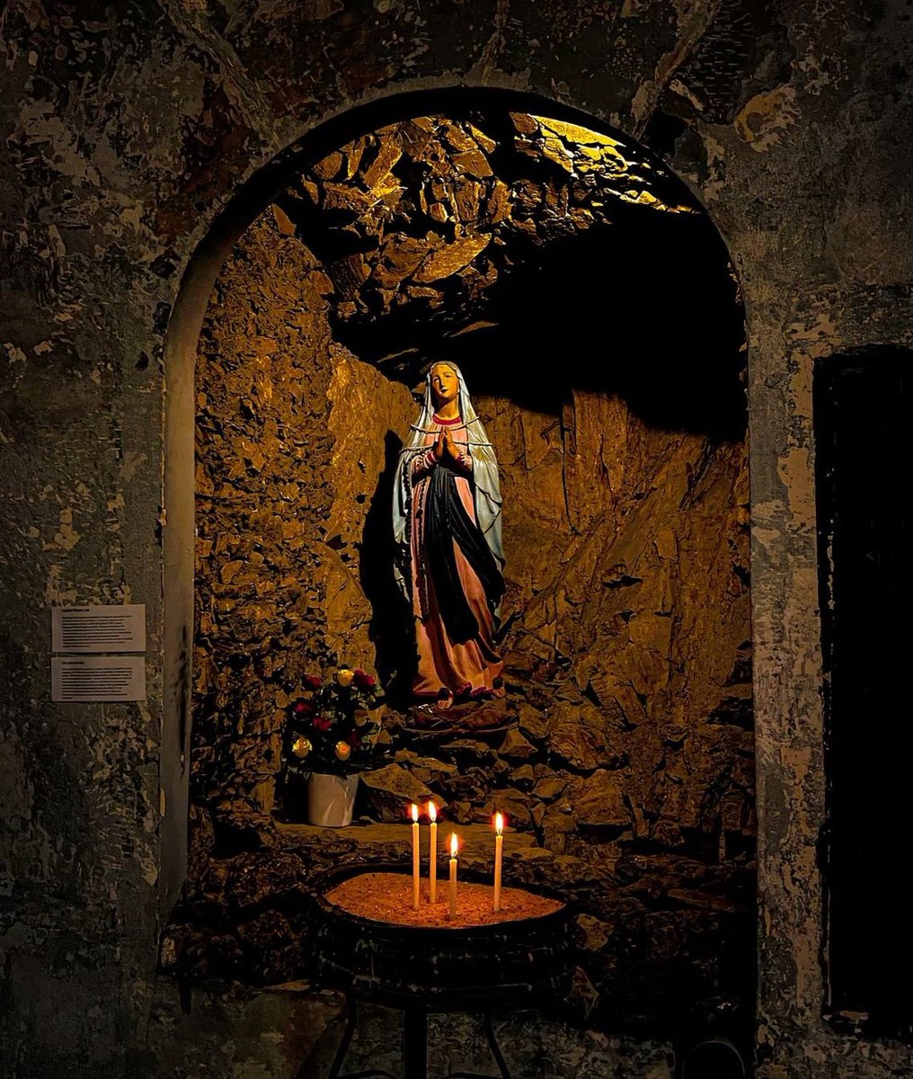 🙏 Acuérdate,
oh, piadosísima, Virgen María,
que jamás se ha oído decir,
que ninguno de los que han acudido
a tu protección, implorando tu auxilio
haya sido abandonado por Ti.
 
Animado con esta confianza,
acudo a ti, oh Madre,
Virgen de las vírgenes,
y gimiendo bajo el peso de