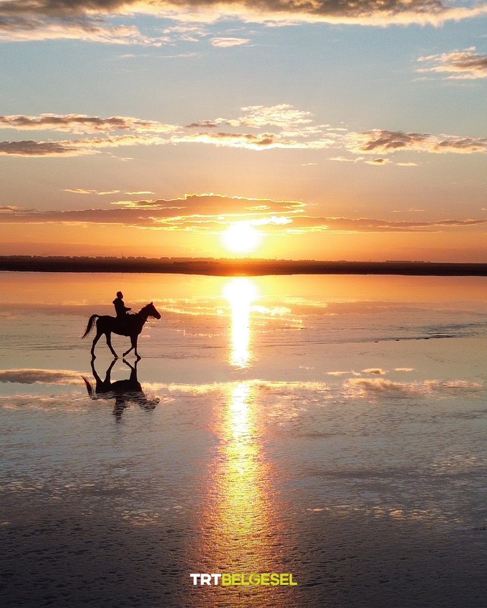 Tuz Gölü'nde gün batımı 🌅
Türkiye'nin ikinci büyük gölü olan ve Ankara, Konya ve Aksaray illeri sınırları içinde bulunan Tuz Gölü, sahip olduğu fauna ve florasıyla Türkiye’nin önemli sulak alanlarından biridir.
📸: Hacı Özkan, AA