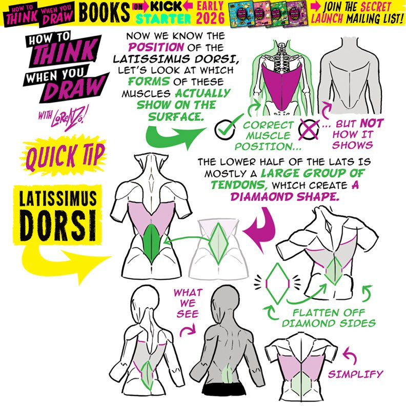 LATISSIMUS DORSI! To get the FREE monthly How to THINK When You draw digital MAGAZINE, (including NEW tutorials, a YEAR before they appear online) just tap the link in the bio HERE:  @etheringtonbros
#anime #manga #comicart #conceptart #gamedev #animationdev #illustration