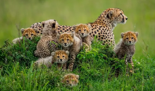 Bury St Edmunds County High School tweet media