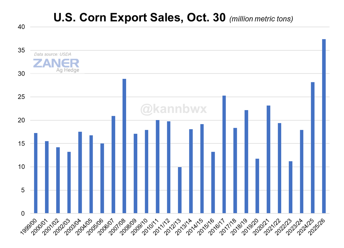 Karen Braun tweet media