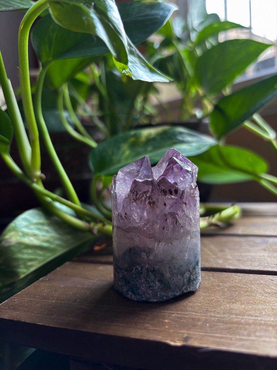 💜if you love Amethyst raise your hand💜👋🏽
Shop our Amethyst collection 👇🏽
kittyscrystals.ca/collections/am…