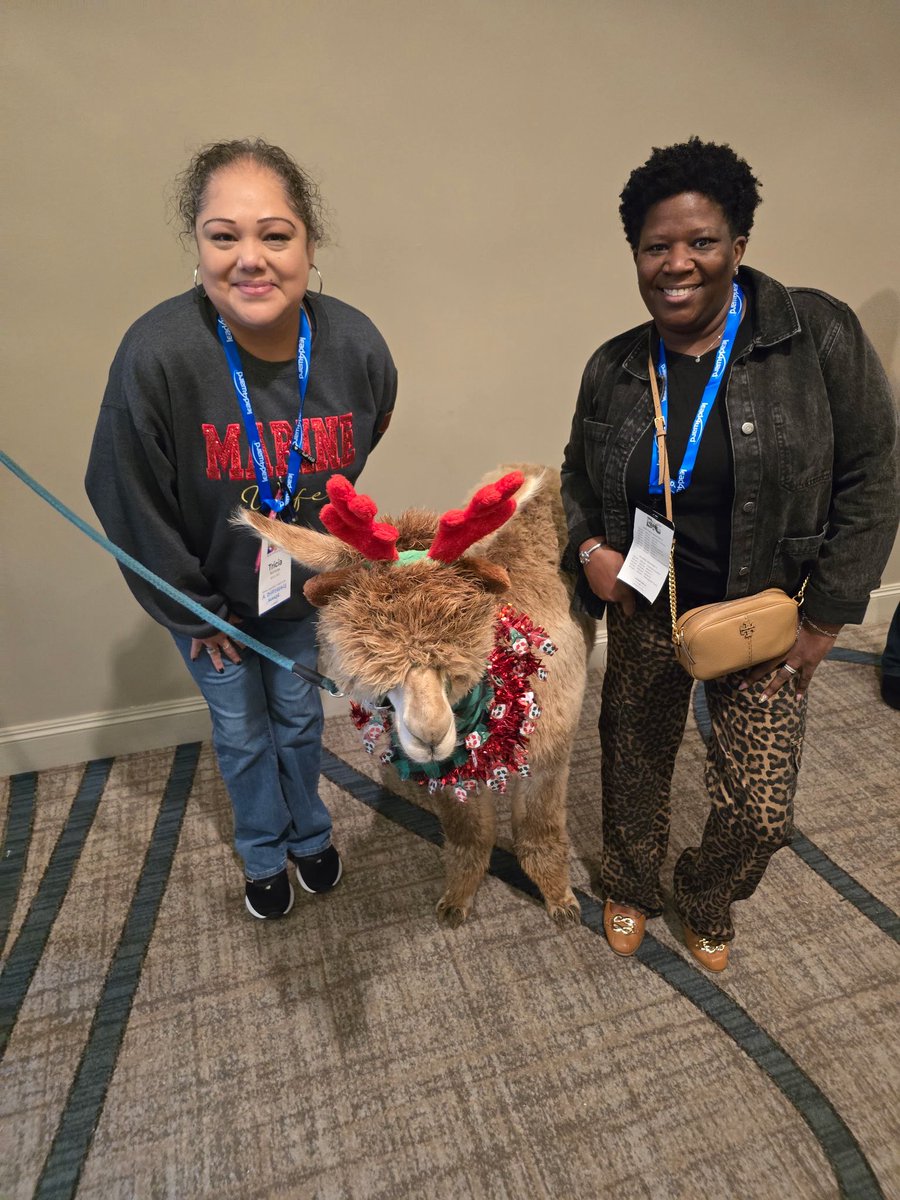 Rodeo Palms Jr. High tweet media