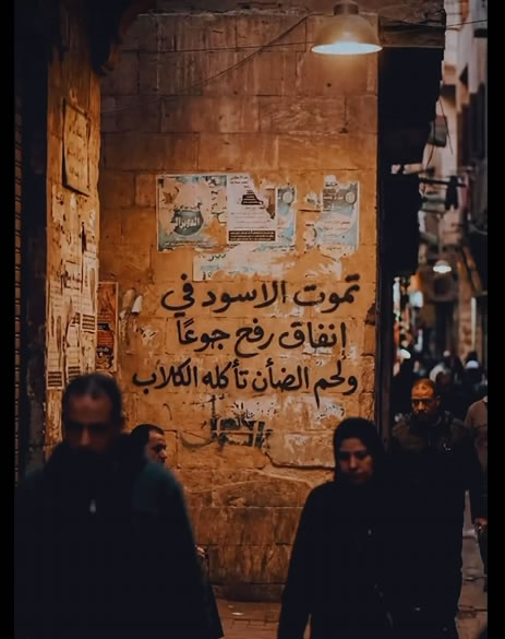 Filistin'den bir duvar yazısı:
"Aslanlar Refah'ta tünellerde açlıktan can verirken, köpekler kuzu eti yiyor"