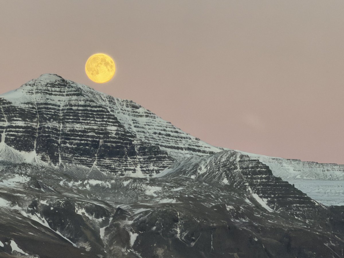 TheJetSetNerd's tweet image. 