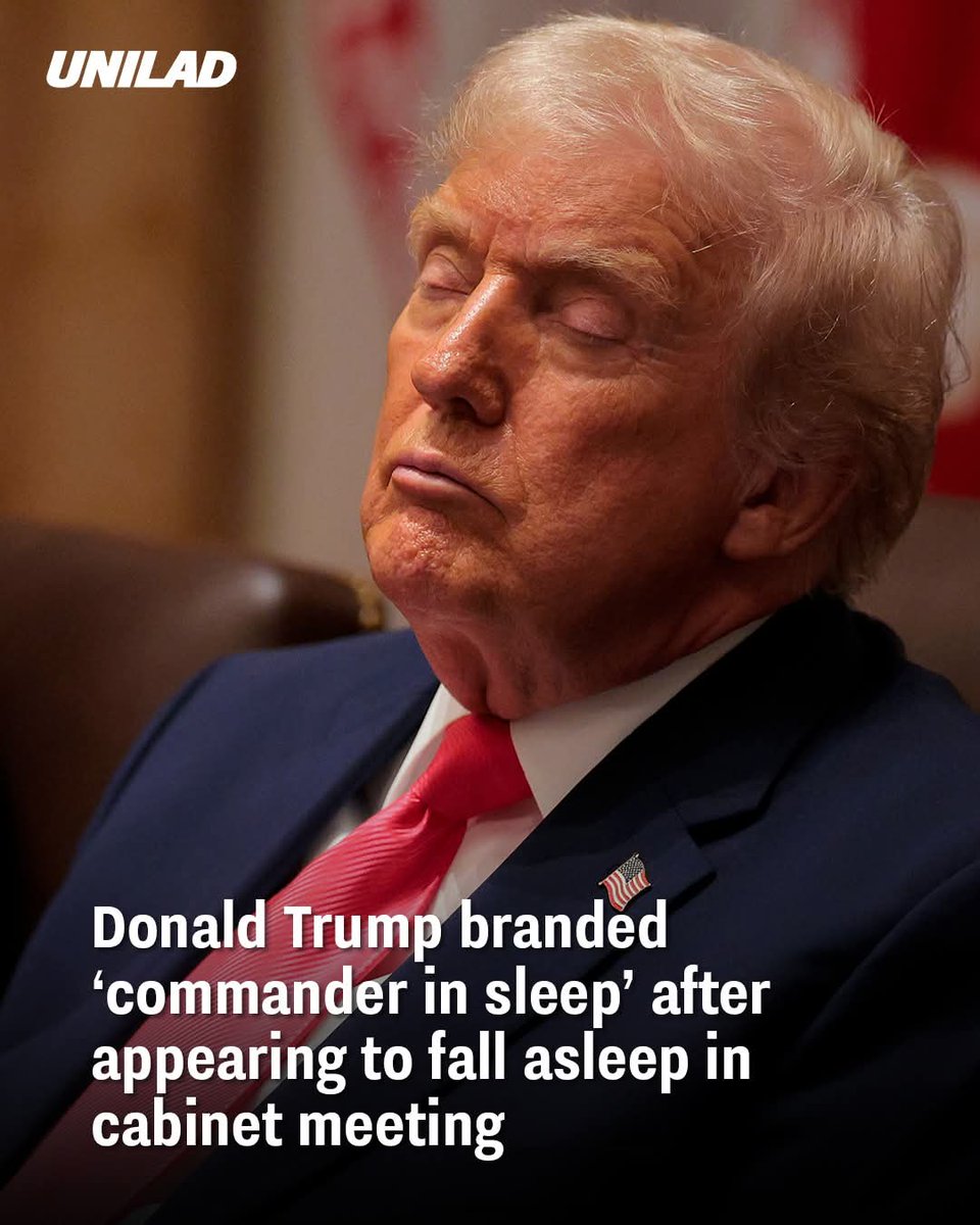 shellabella691's tweet photo. @NickAdamsinUSA This guy????? https://t.co/wYNG1XfC9A