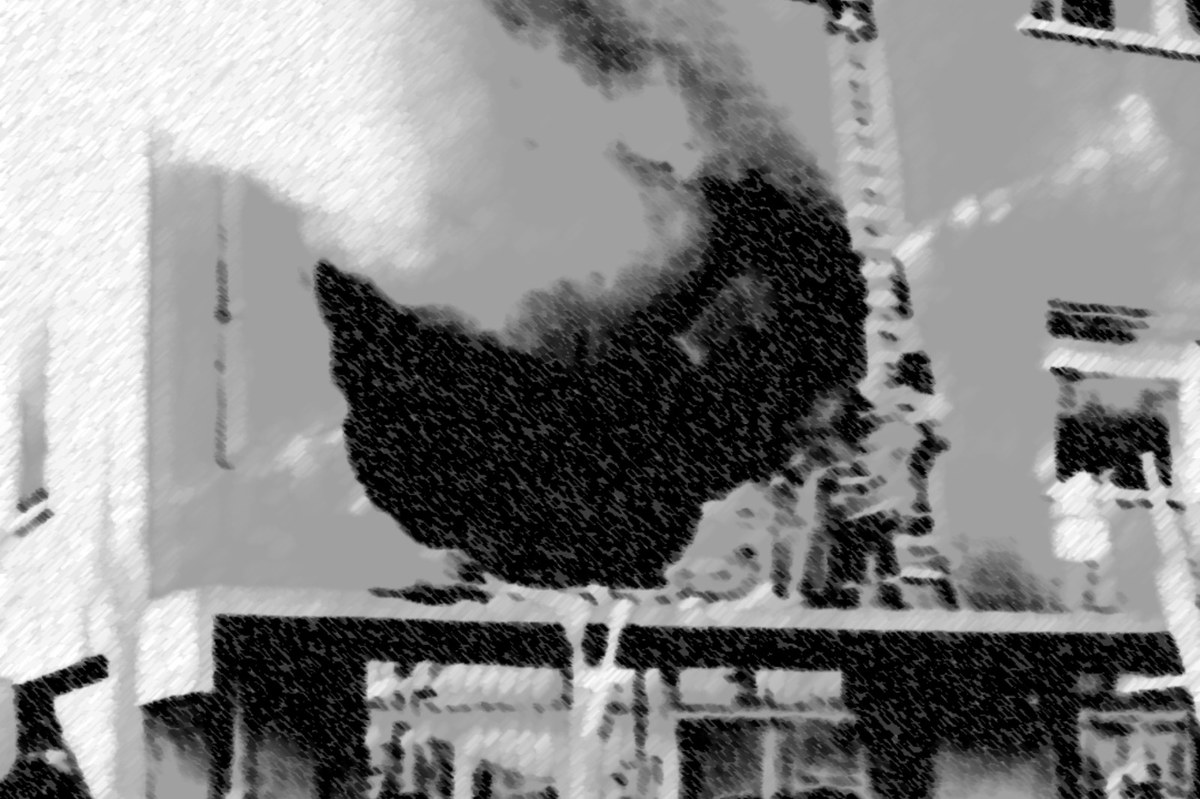 RegioneER's tweet image. Trentacinque anni fa la Strage all’Istituto #Salvemini di Casalecchio di Reno (Bo), il presidente @mdepascale: “Tragedia che ha segnato profondamente la nostra comunità. A fianco di famiglie e associazione, perché ricordo non venga mai meno”
La #notizia 👉 regioneer.it/Salvemini-4dic…