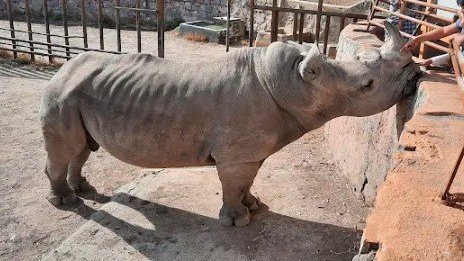 Lucía Hernández | Amo La Ciencia tweet media