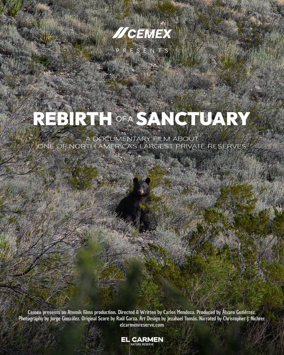 Cemex Global tweet media