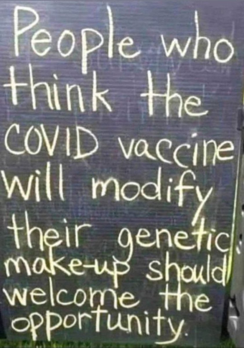 Gig - The Great Gig in the Sky tweet media