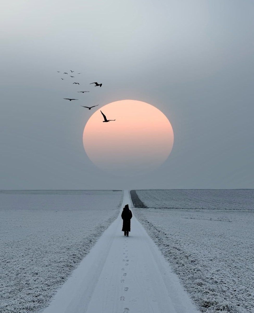 It's your road and yours alone. 
Others may walk it with you
But no one can walk it for you.

Rumi