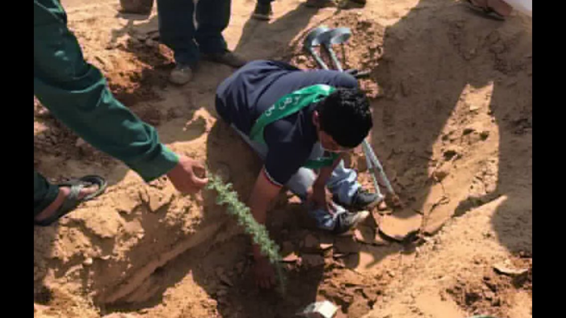 هناك في بعض الجهات شخص تعيس غير مسؤول ! يعتقد أنه ناجح في وضع عراقيل تعيق العمل التطوعي !!
نقول لهذا التعيس الغير مسؤول : عمرك في وظيفتك قصير ، وعمر التطوع بدأ منذ خلقت البشرية وحتى قيام الساعة .
قال رسول الله ﷺ ( إذا قامت الساعة وفي يد أحدكم فسيلة فليغرسها ) .