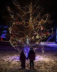 GrandBridge Energy is a proud sponsor the Brantford Lights at Glenhyrst! Stroll the 16-acre grounds at 20 Ava Road, Brantford, or enjoy the view from your car.
Don’t miss the Switch On event on Friday, December 5, 2025, at 7:00 p.m.
#BrantfordLightsatGlenhyrst
