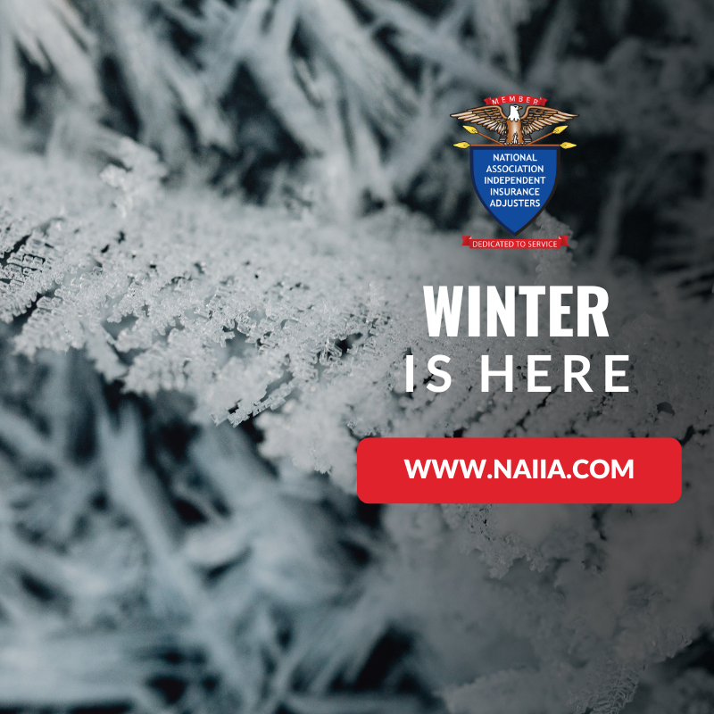 Independent Adjuster tweet media