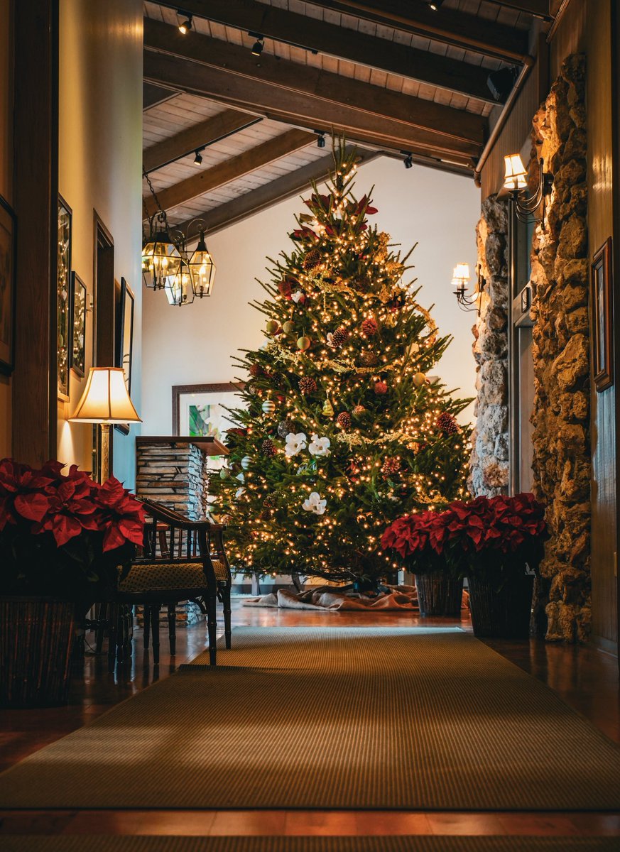 There’s something special about Bay Hill during the holidays. 🎄

From twinkling décor to warm hospitality, there’s no better place to spend the season. Visit our website to plan your holiday stay and play!

#BayHill