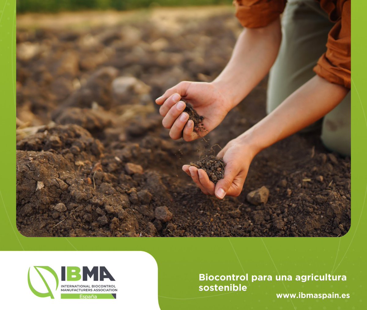 🌍 Hoy celebramos el Día Internacional del Suelo, recordando que un suelo sano es clave para la biodiversidad, la producción de alimentos y la resiliencia de nuestra agricultura. 

Cuidar el suelo es cuidar del futuro

#WorldSoilDay #DíaInternacionalDelSuelo