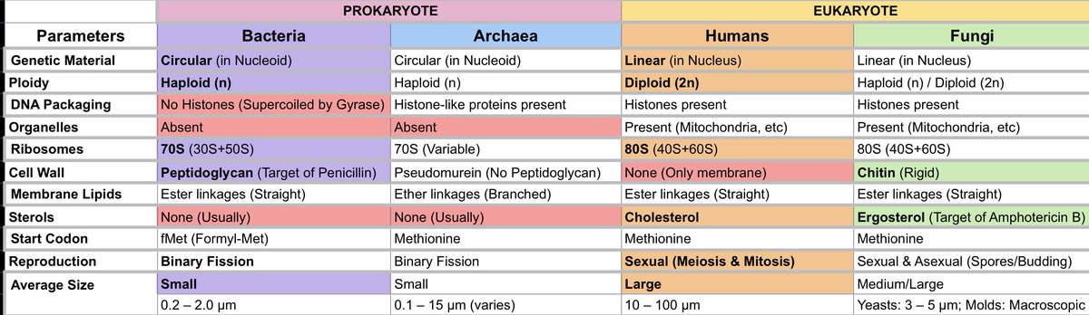 ⭐️kari, fRPh tweet media