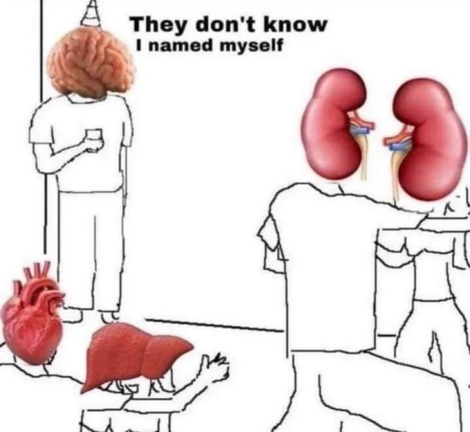 RealestMemes_'s tweet photo. https://t.co/B4EVeEJ9Gb