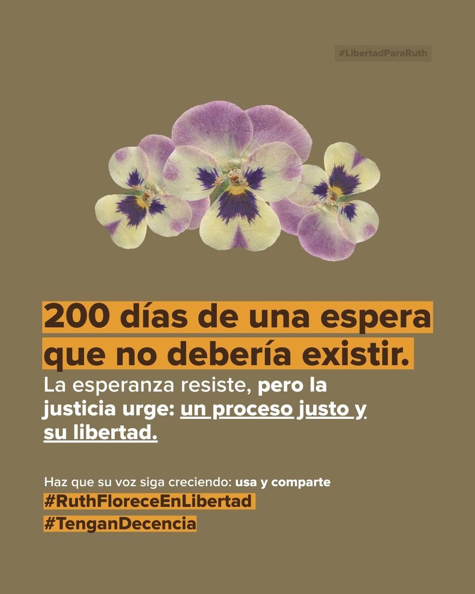 🗓️ Hoy marcan 200 días sin Ruth López.

Nuestra petición sigue siendo la misma: garantías y libertad para Ruth. 📢

#RuthFloreceEnLibertad #TenganDecencia