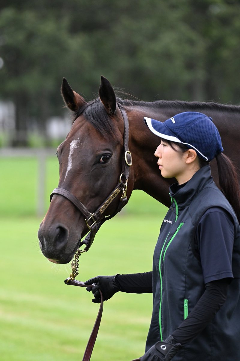 ラヴズオンリーユー