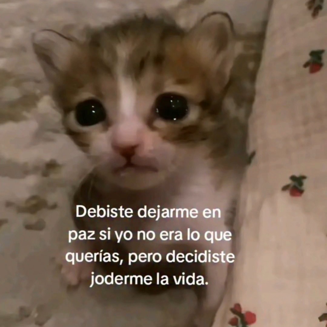 Ojos color sol (@ojoscol0rsol) on Twitter photo 