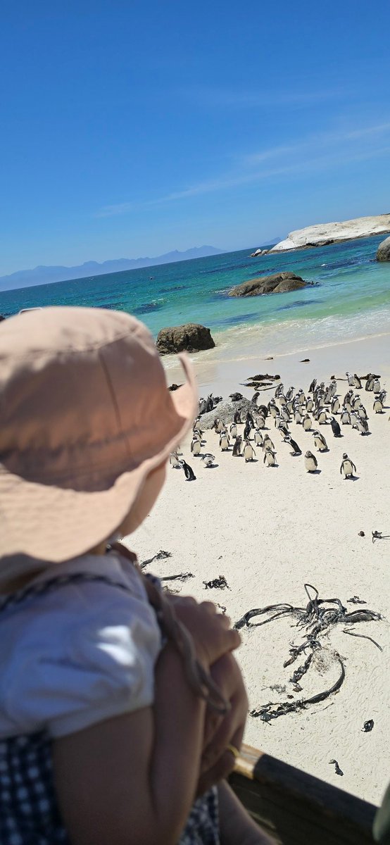 The kid is loving all the animals of South Africa 🦒🦓🦁🐧