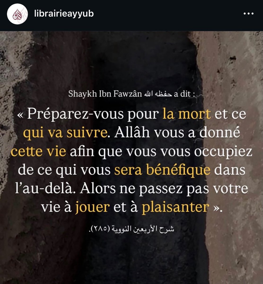 moussa_tawhid tweet media
