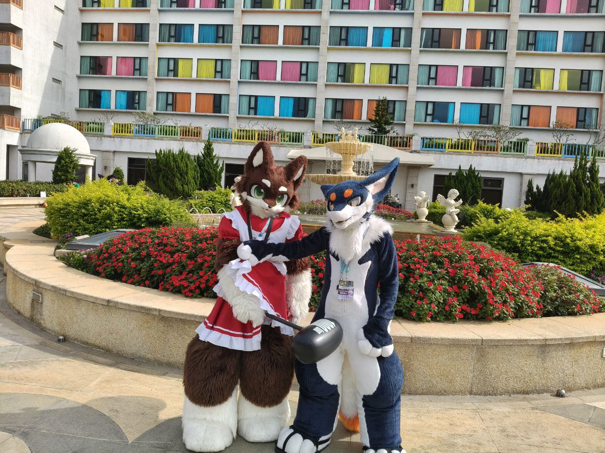 可愛🐉🐉＆🐺🐺
🐺: <a href="/fGGNRTgM8mIYVBS/">雪狼</a> 
📷:  <a href="/Javier26371559/">Javier 🔜 Infurnity 2026</a> 
#FursuitFriday  #Infurnity2025