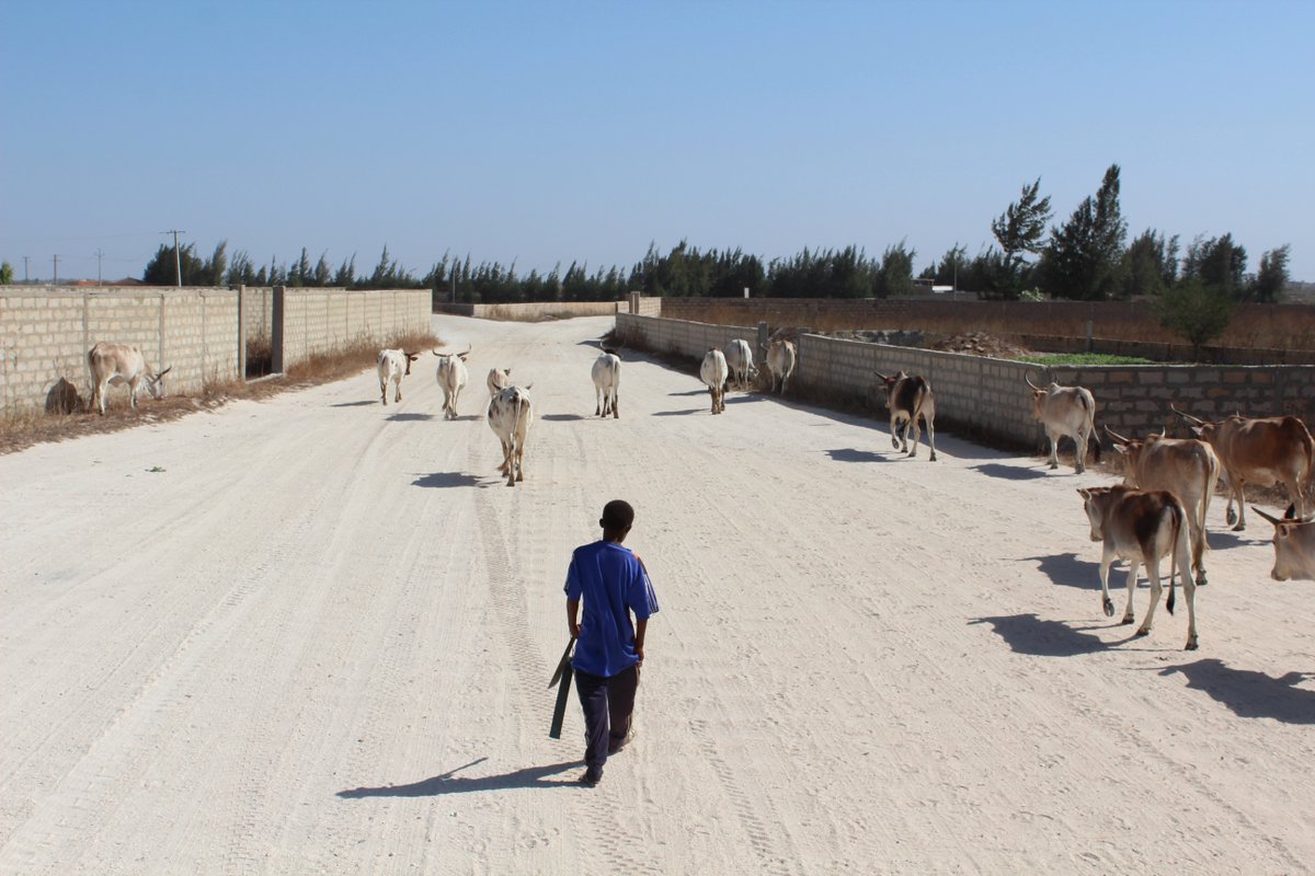 Raconets tweet media