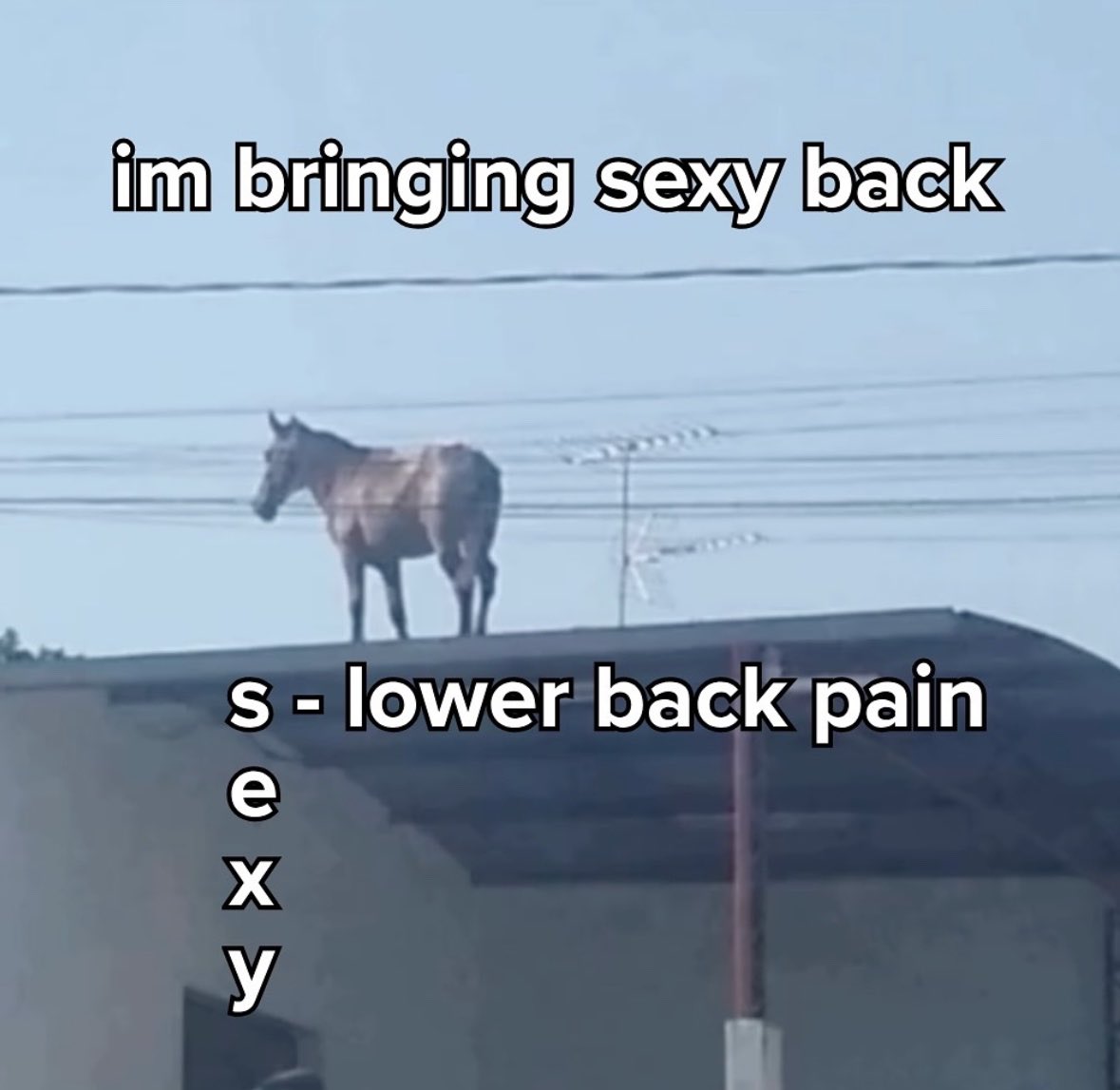 How life has been lately
