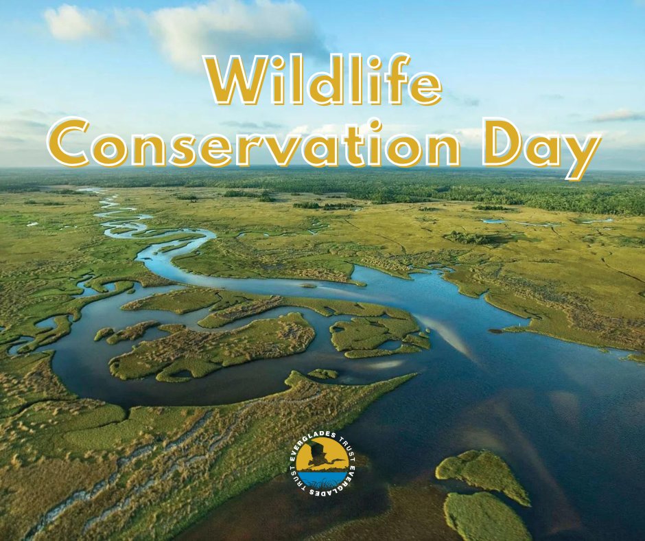 Everglades Trust tweet media