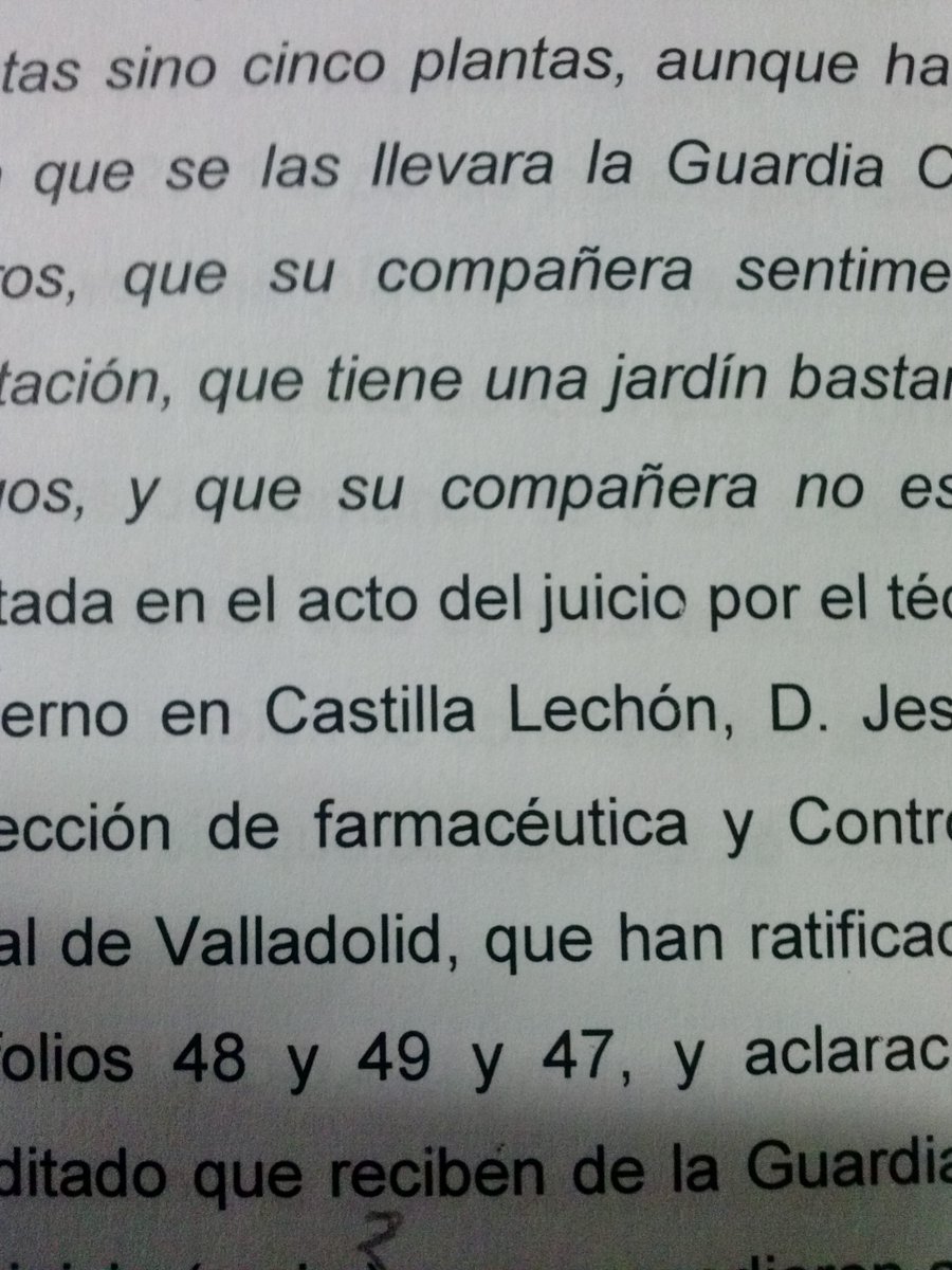 alex_jover's tweet photo. @germen1975 Estos dos gazapos estaban en la misma Sentencia condenatoria. Parece que el/la autor/a tenía hambre. https://t.co/7BDZzhOLuM